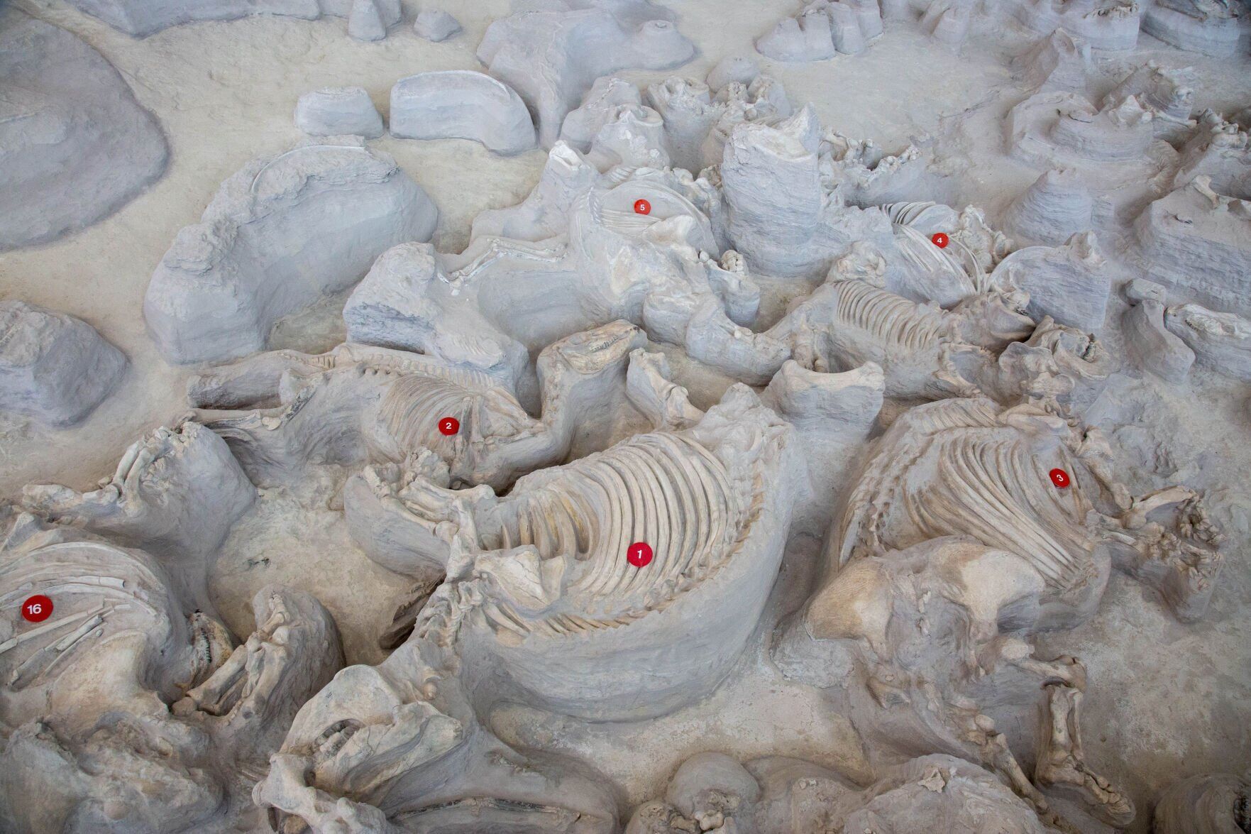 081323-owh-new-passport-ashfall-p13.jpg